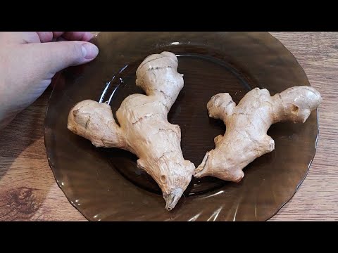 Как сохранить имбирь. Всегда свежий имбирь под рукой
