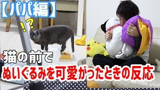 猫の前でぬいぐるみを全力で可愛がったときの反応…【パパ編】