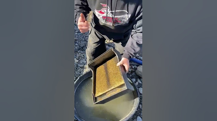 GOLD MINERS CAN SURVIVE