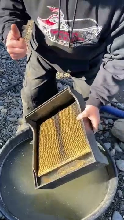 GOLD MINERS CAN SURVIVE