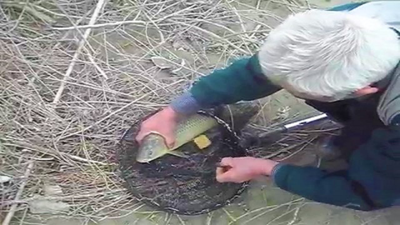 BALIK AV SEZONU AÇILIŞI (SAZAN AVI)