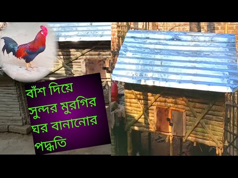 ভিডিও: মুরগির কার্বনেট তৈরি করা