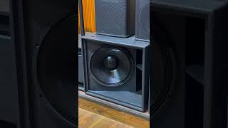 Tasso Audio single 18 inch sub woofers, the unsung heroes of immersive audio experiences.