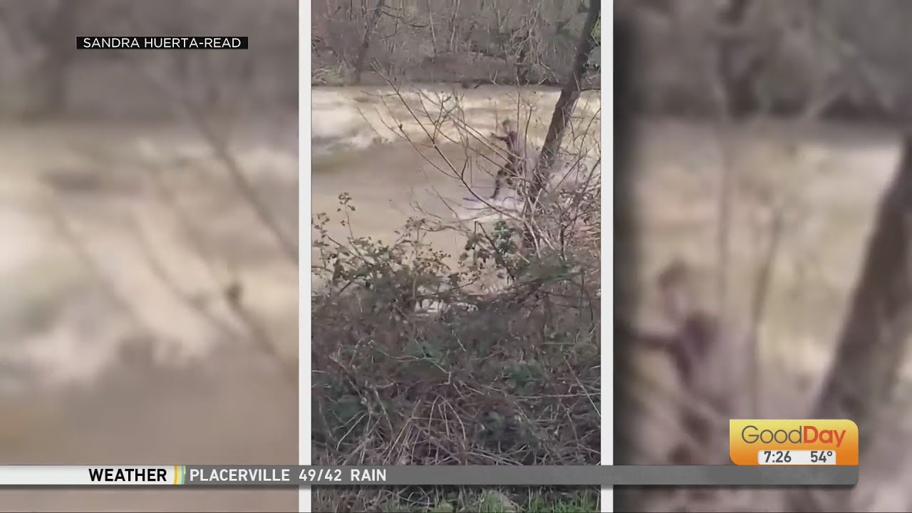 Atmospheric River Storm Update: Man goes surfing on the American River ...