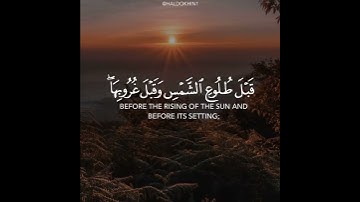 #هيثم_الدخين حالات واتس اب قرآن كريم جديد #قناة_نخوة_للفوائد