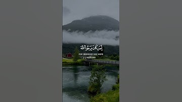 surah Al-Ahzab سورة الاحزاب #islam #quran #allah #قرآن #اسلام #ياسر_الدوسري
