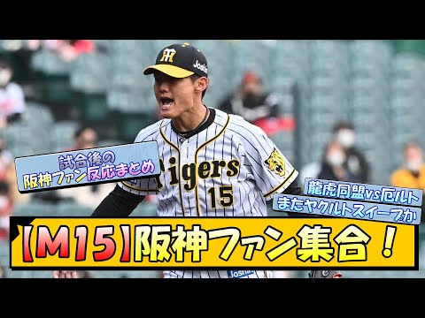 【Ｍ15】阪神ファン集合！【なんJ 阪神ファン 反応 まとめ】【プロ野球ニュース】
