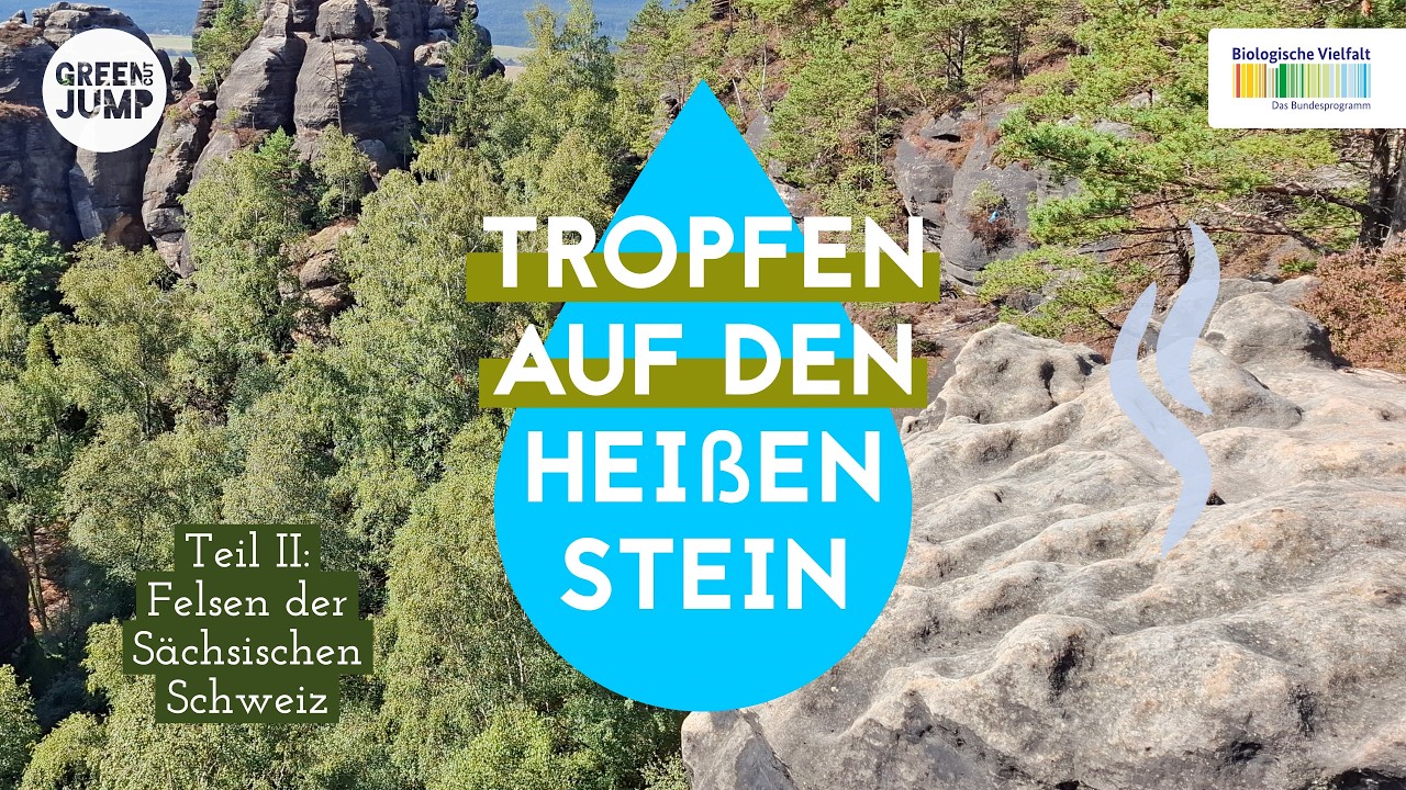 Entstehung des Elbsandsteingebirges und die Folgen des Klimawandels: GeoNatours im Film dabei 