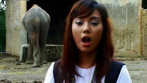 Hewan Langka seg3 Ayo Belajar Biologi | Video Learning Object