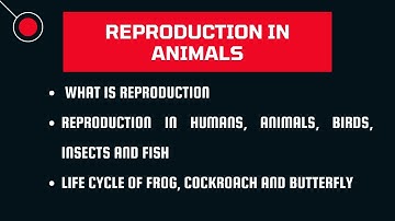 Class 4 Science Ch 2 Reproduction in Animals | How Animals Reproduce? | Life cycle for Class 4 CBSE