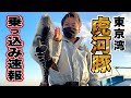 【トラフグ釣り】東京湾 春の虎河豚乗っ込みシーズン開幕! 釣れてる人の秘策と釣り方解説|萬栄丸
