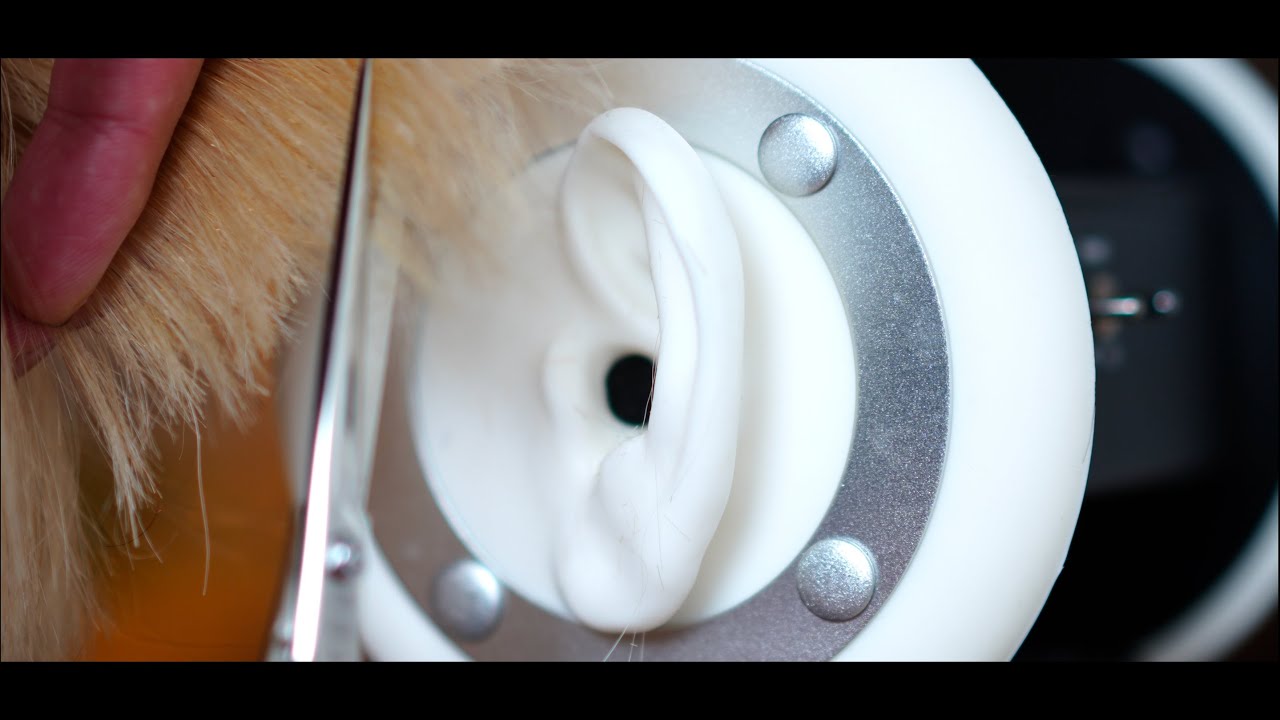 【ASMR/音フェチ】超近距離,髪を切る音【ハサミ】【ヘアカット】【hair cut】【sleepy】【睡眠】