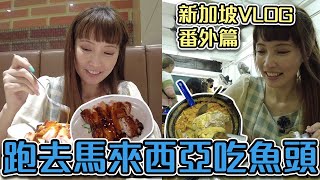 馬來西亞新山必吃 咖喱魚頭！當地人推薦BBQ雞飯 #新加坡VLOG 03【Ryo VLOG】