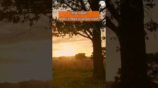 Real Power Doesn't Need to Prove Itself ✨🛡#HighValueMan#MindsetMatters#TruePower#InnerStrength