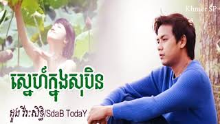 Video thumbnail of "ស្នេហ៍ក្នុងសុបិន្ត  ||  Sne Knong Soben ||  ដួង វីរៈសិទ្ធ  || Doung Vireak Seth || khmer music"