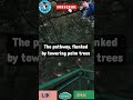 DIEGO GARCIA ISLAND mp4