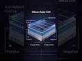 How Solar Panels Actually Generate Voltage
