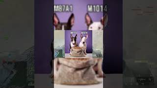 Shotgun Tier List - 18.5KS-K - BF6 S2 #battlefield6 #battlefield #bf6  #battlefieldweapons