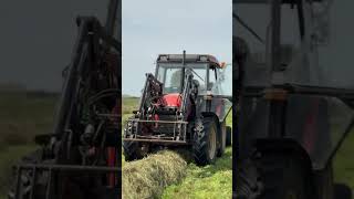 Rafatus I Siano Daj Lajk