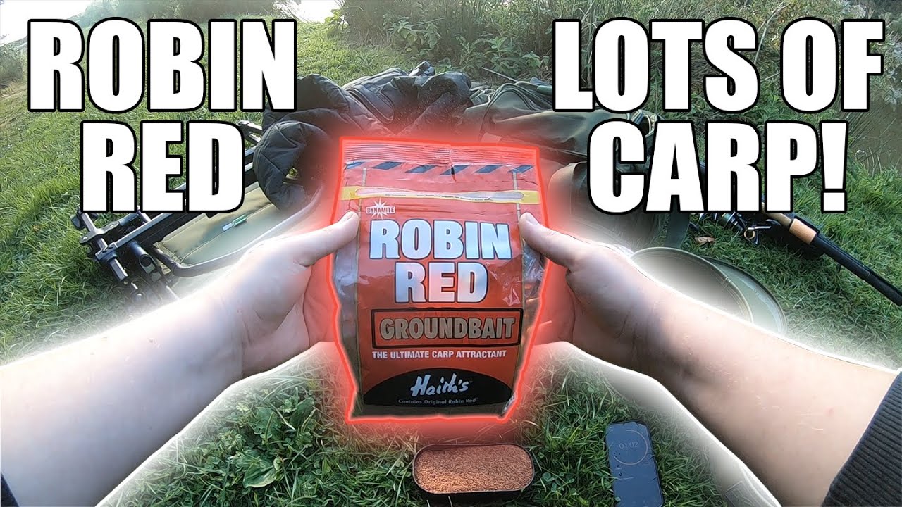 Carp Method Feeder Fishing with ROBIN RED Groundbait! 