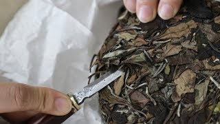 How to brewing · old white tea