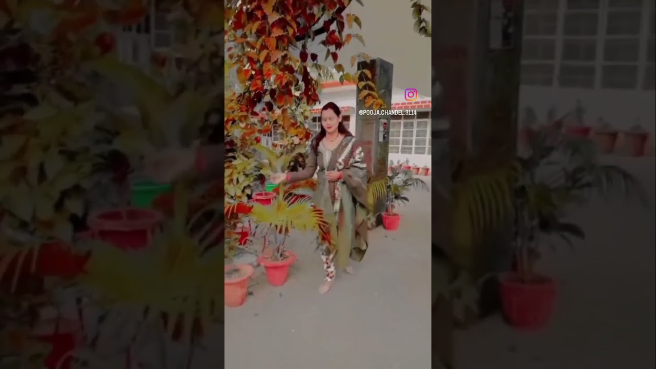 💞walking in the garden 💞||POOJA CHANDEL|| YOUTUBE STATUS.
