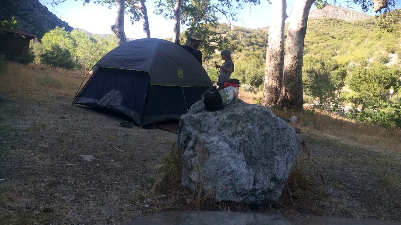 IMG 9952 Shylah-777 playlist