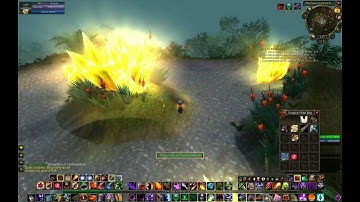WoWGuideOnline.com: Daily Quest Guide - Song of Reflection