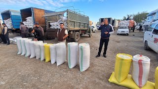 Хоразм Оптом Гуруч Бозори Янги Нархлари 18-Апрель 2026-Йил Хоразм Обзор