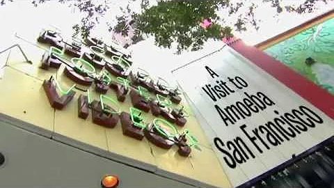 Amoeba Music San Francisco - Store Tour