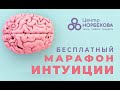 Бесплатный Марафон ИНТУИЦИИ с А.Сечкиной, Л.Огневой и А.Лукашевичем 11:00\19:00