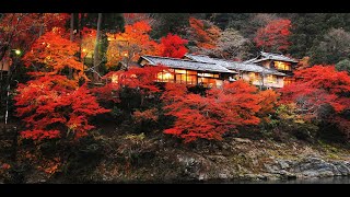 Hoshinoya Kyoto by Indochina Travel 355 views 10 months ago 2 minutes, 5 seconds