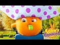Videos For Kids | Sunny Bunnies THE SUNNY BUNNIES REFEREE | Funny Videos For Kids