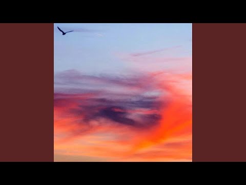 TC & Forest龙楠林 - 你是我的全世界