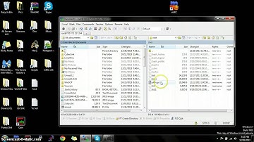 How to add scripts to VPS "Voice Tutorial"