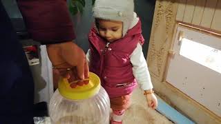 Bıldırcın Sevmek Bir Tutkudur