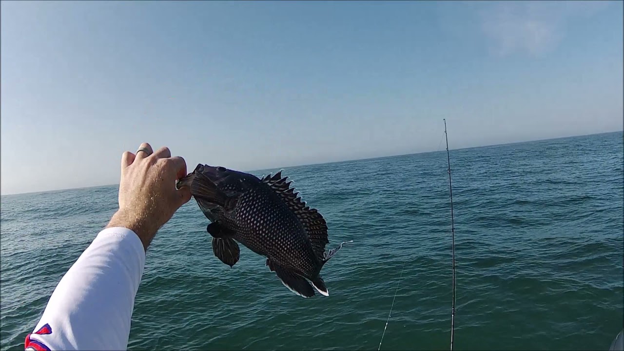 Slow Pitch Jigging for Black Sea Bass
