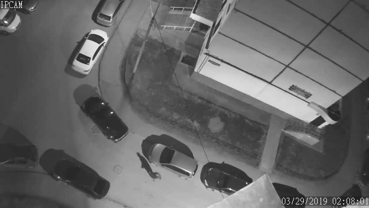 Авторазбор липецк веста