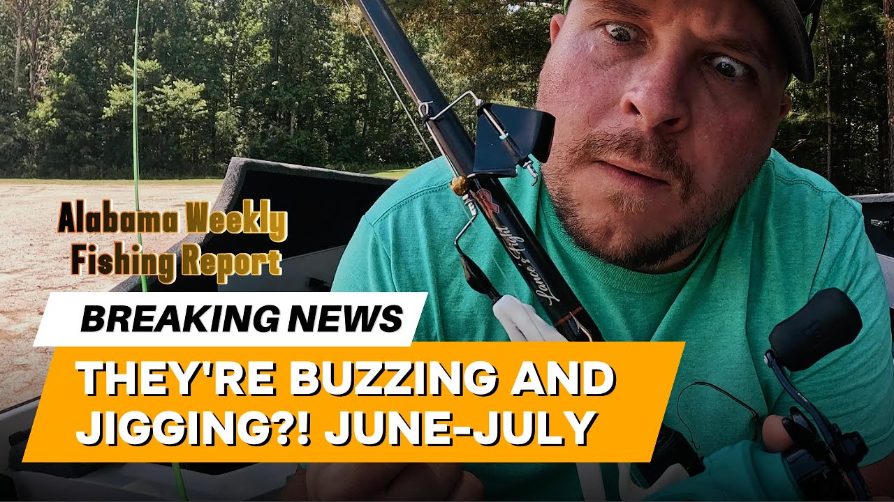 Alabama Weekly Bass Fishing Report: Last Week of June!