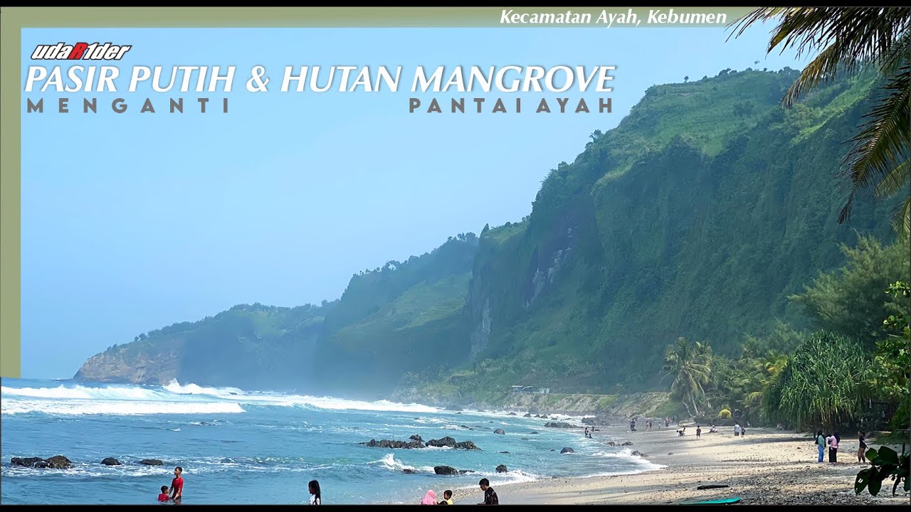 PESONA PASIR PUTIH dan HUTAN MANGROVE KEBUMEN...