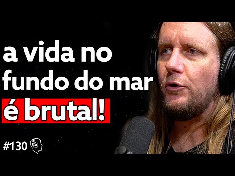 Biólogo Evolucionista: Mistérios do Oceano, Criaturas Bizarras e Evolução Marinha - Alberto Lindner