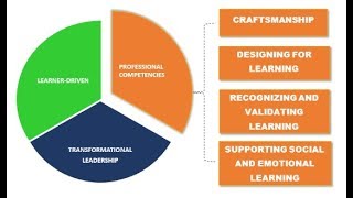 Framework Domain - Professional Competencies