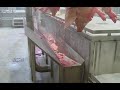 HYTT vacuüm transport roodvlees slachtafval – HYTT vacuum transport system red meat slaughter waste