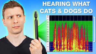 $2500 Ultrasonic Microphone Lets You Hear Like a Cat & Dog