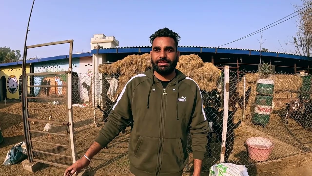 ਦੇਖੋ ਬੱਕਰਿਆਂ ਦੀ ਖੁਰਾਕ ਅਤੇ ਬੱਕਰੀਆਂ ਦੀ ਸਾਂਭ-ਸੰਭਾਲ ਮਾਲਵਾ ਗੋਟ ਫਾਰਮ