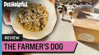 My Honest Review of The Farmer's Dog | Tested with TWO Dogs