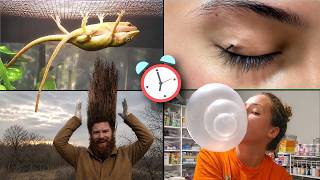 30 COISAS QUE VOCÊ NÃO SABIA EM 5 MINUTOS!!! 🤯🚀 [262]