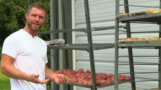 How to Harvest, Cure, and Store Potatoes