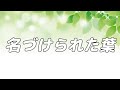 【合唱曲】名づけられた葉 / 混声三部合唱【歌詞付き】