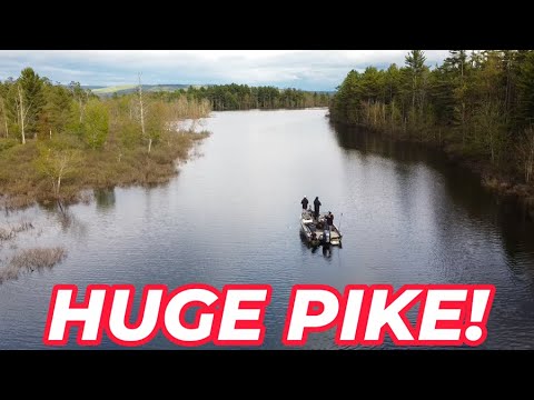 Related Embedded Video Item Thumbnail